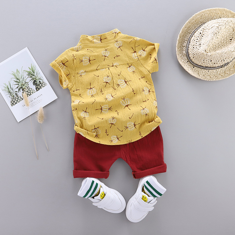 Zomerkledingsetjes van katoen  - Baby Clothing Bundles recensie en prijs